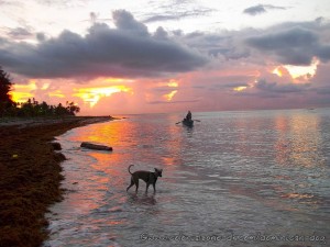 Teli getting her feet wet as the sun rises over Playa Juan Dolio